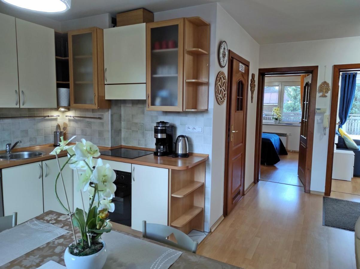 Apartamentylove - Apartament Oliwia Закопане Экстерьер фото